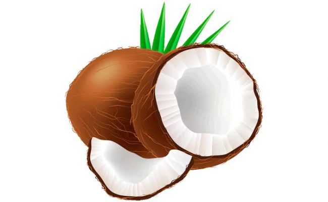 కొబ్బరి చెట్టు ఆవేదన